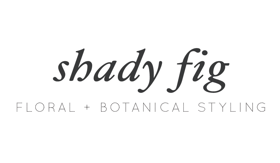 Shady Fig